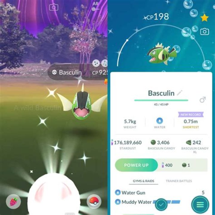 Pokémon GO White-Stripe Basculin, a Cross-Gen Evolution, Now Appears in the Pokedex