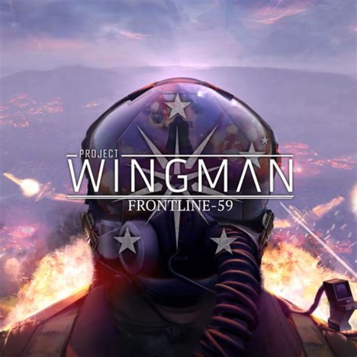 Project Wingman – Guide to Decent Money Farm