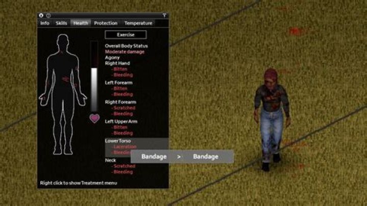 Project Zomboid – How to Heal
