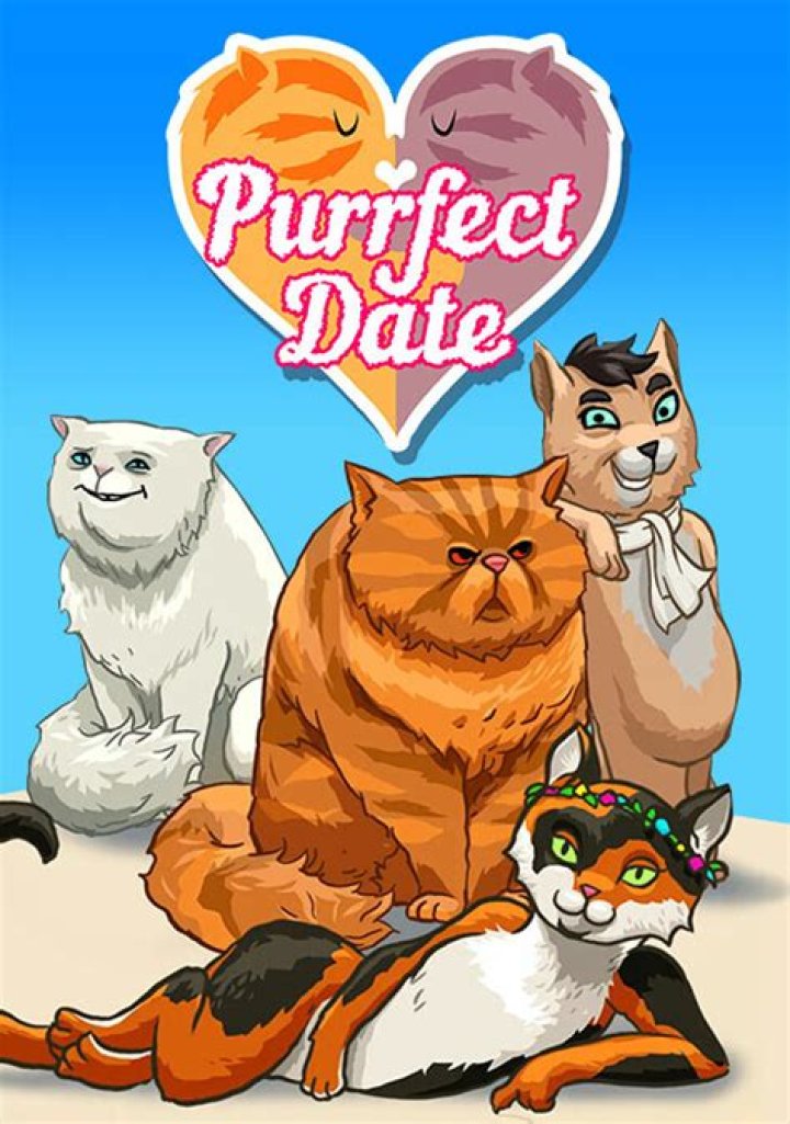 Purrfect Date is a cat lover's dream dating simulator