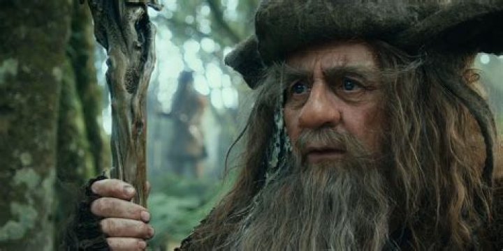 Radagast the Brown | The Lord of the Rings