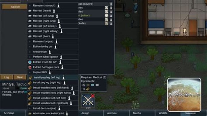 RimWorld - What Is the Best Work Schedule to Set?