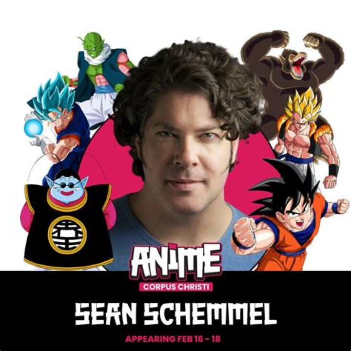 Sean Schemmel - MobyGames