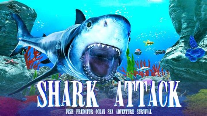 Shark Attack Multiplayer - Io Games