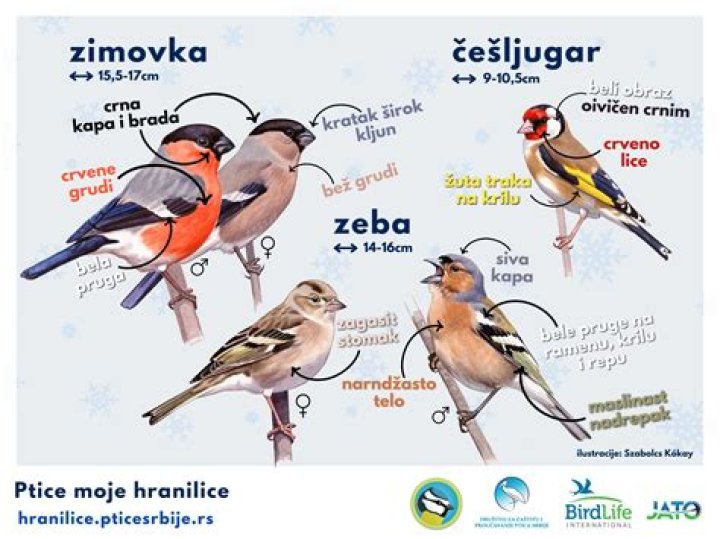 SIMBOLI ELEMENTOV - NAPIŠI SIMBOL K IMENU Quiz