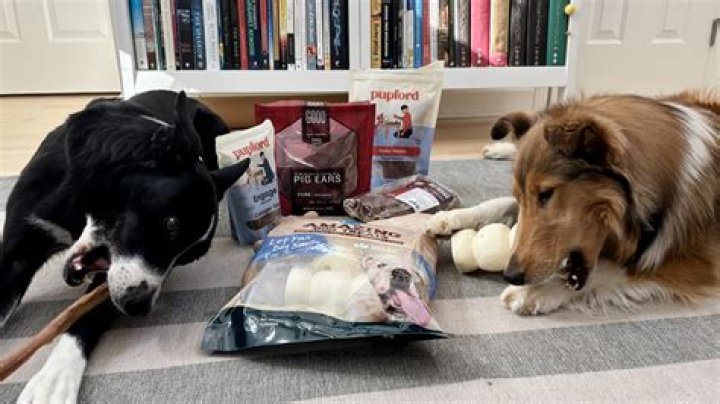 Something dogs chew Top 7 : Answers