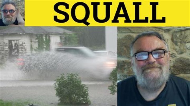squal: Information about the word 'squal'
