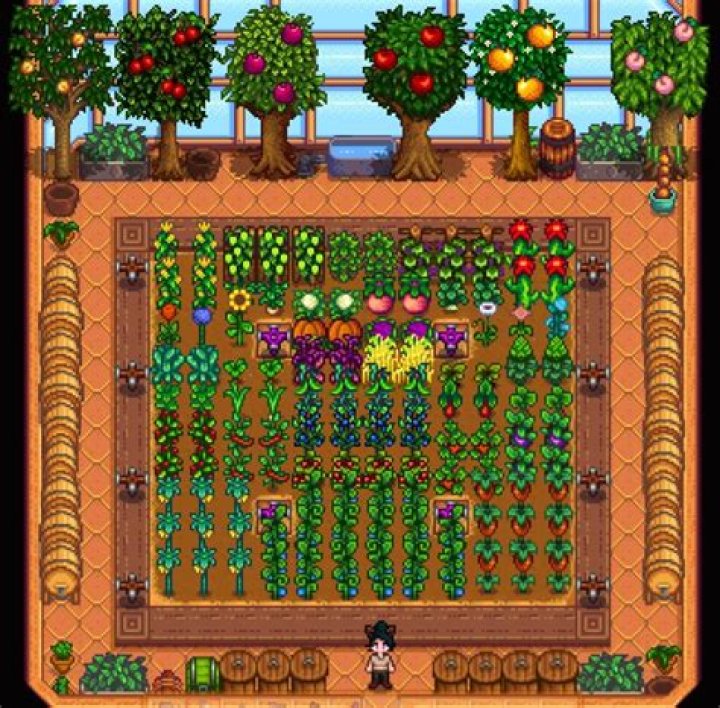Stardew Valley - How to Plant Trees in the Greenhouse