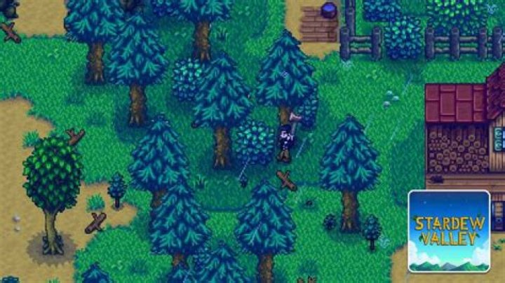 Stardew Valley - How to Remove Bushes