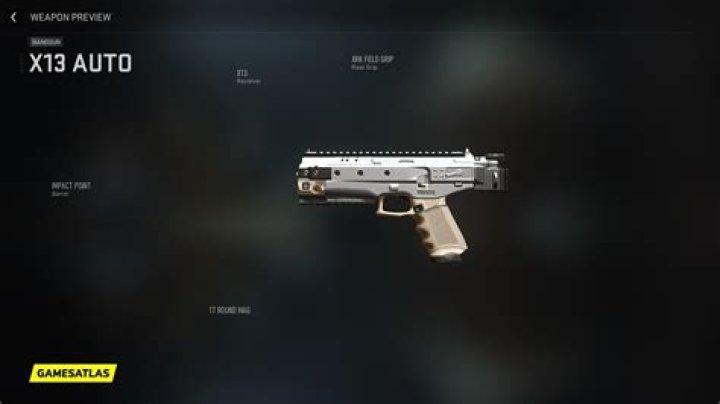 Steel Ghost | Warzone and Modern Warfare 2 Blueprint