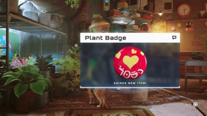 Stray: How to Find the Plant Badge | Badges Trophy Guide