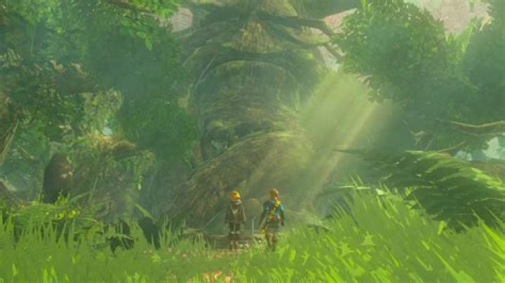 Tears of the Kingdom - How to Find & Enter the Lost Woods