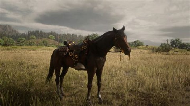 The best saddles in Red Dead Online
