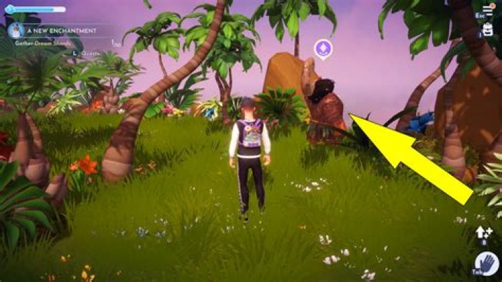 The Great Maui Quest Answers