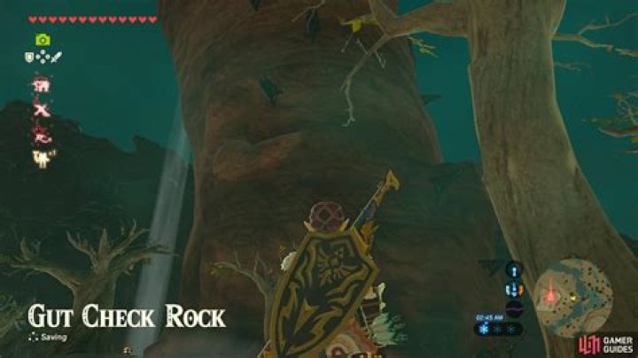 The Gut Check Challenge - Eldin Region - Shrine Quests | The Legend of Zelda: Breath of the Wild