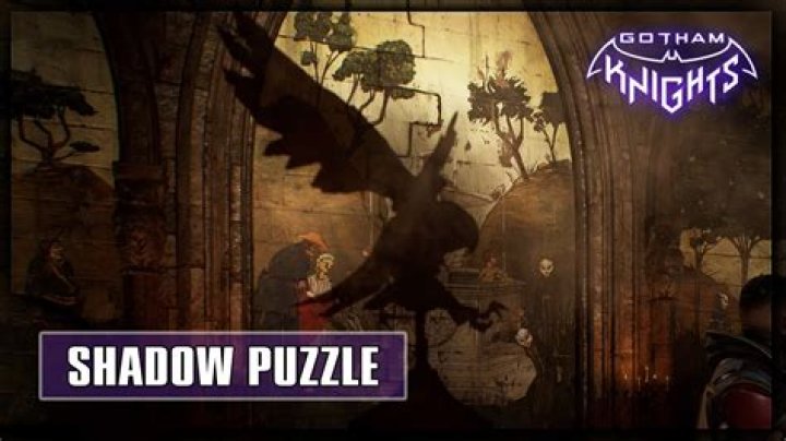 The Powers Club Spotlight Shadow Bird Puzzle