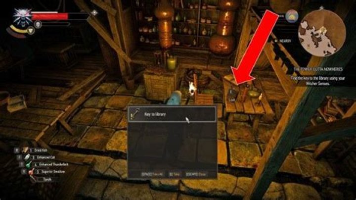 The Tower Outta Nowheres, Witcher 3: Wild Hunt Quest