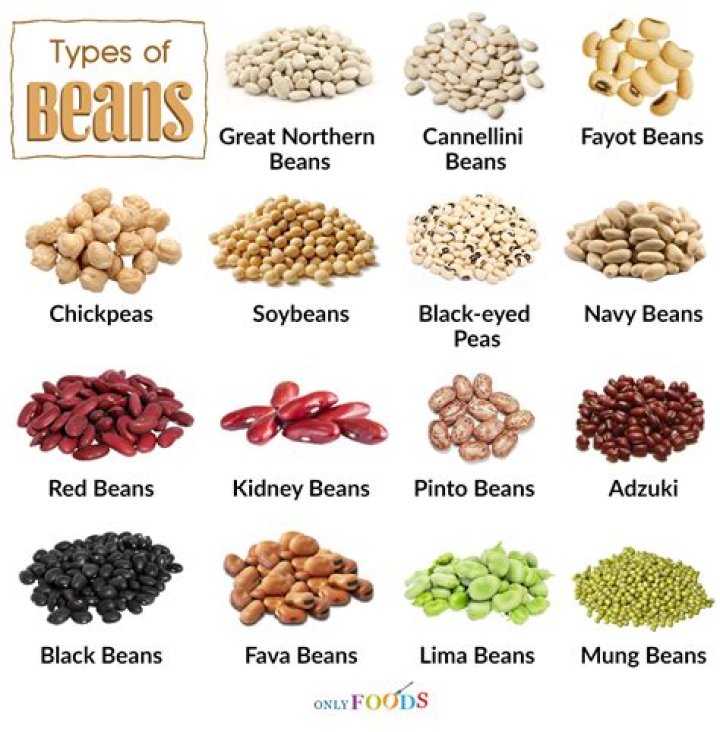 
Top 7 Types Of Beans-Answers