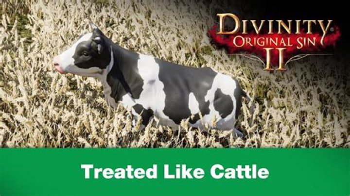Treated like Cattle, Divinity: Original Sin 2 Quest