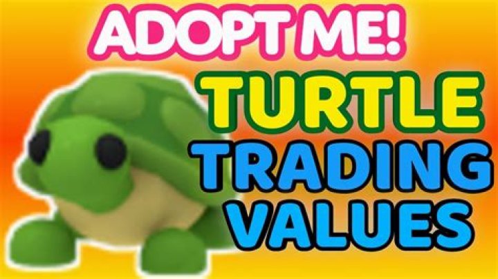 Turtle In A Bucket Value