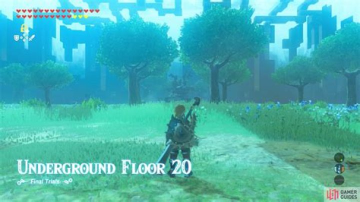 Underground Floor 20 - Final Trials - Trial of the Sword (DLC1) | The Legend of Zelda: Breath of the Wild