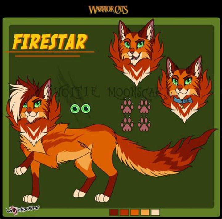 Warrior Cats: Firestar Hard Quiz #1