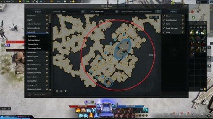 What do you do with the Key Swallowed by Mimic in Lost Ark?