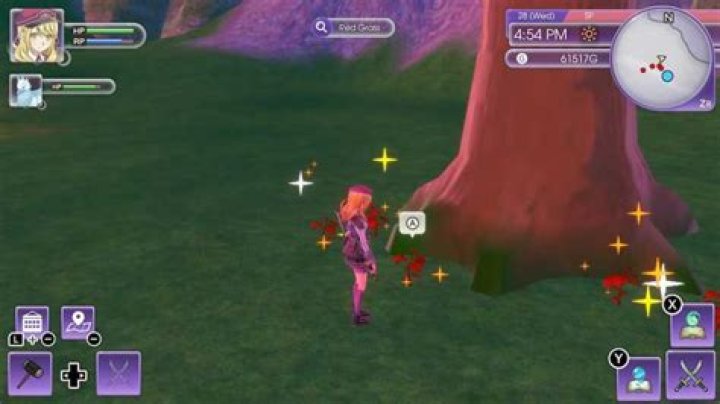 Where to find Red Grass in Rune Factory 5