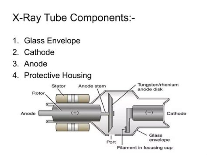 X-ray Tube Labeling Quiz: Fundamentals